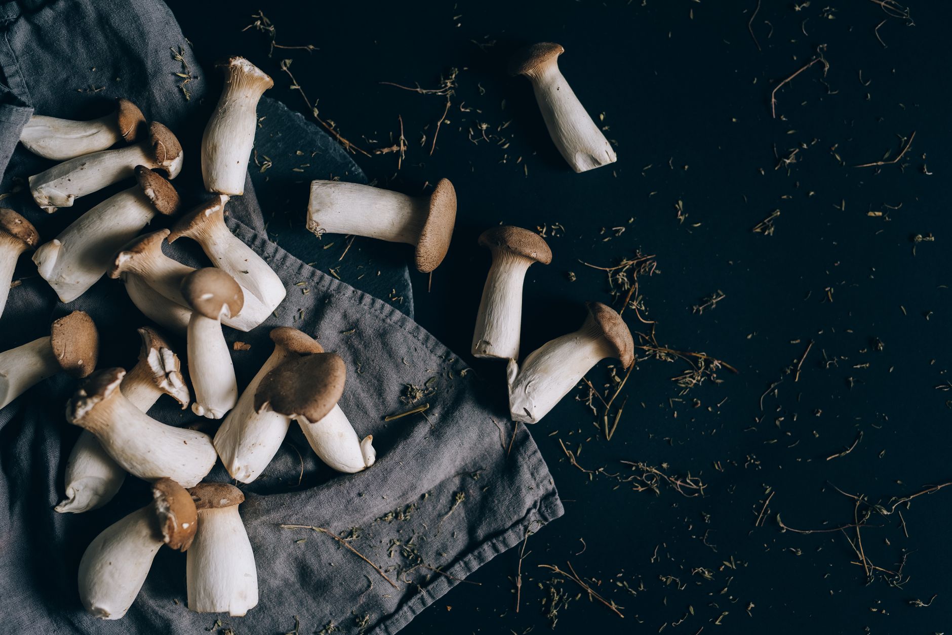 hands twisting a cluster of black pearl king oyster mushrooms from a sawdust fruiting block