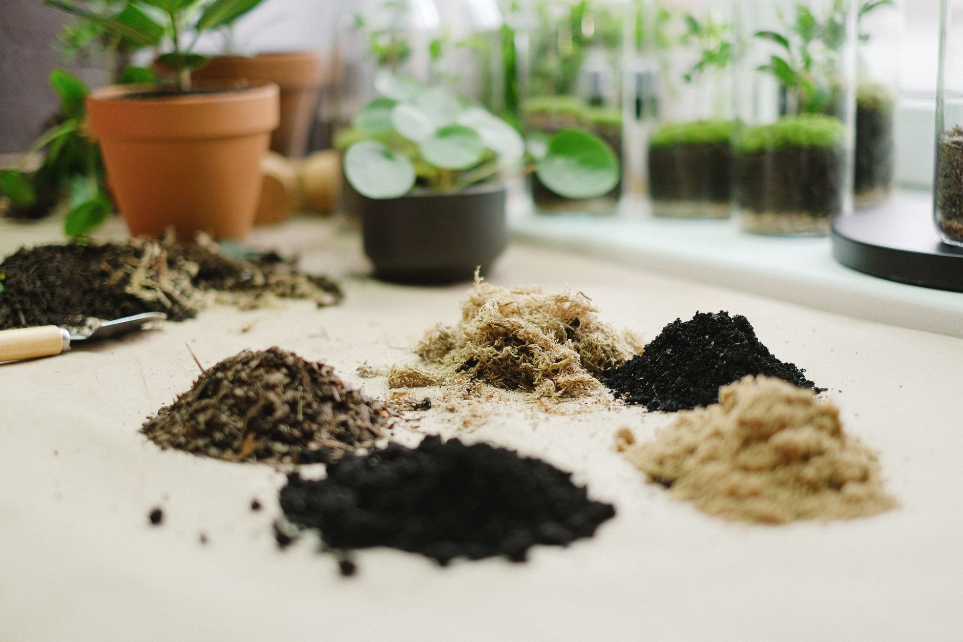 a gardener using a soil pH test kit to check alkaline soil