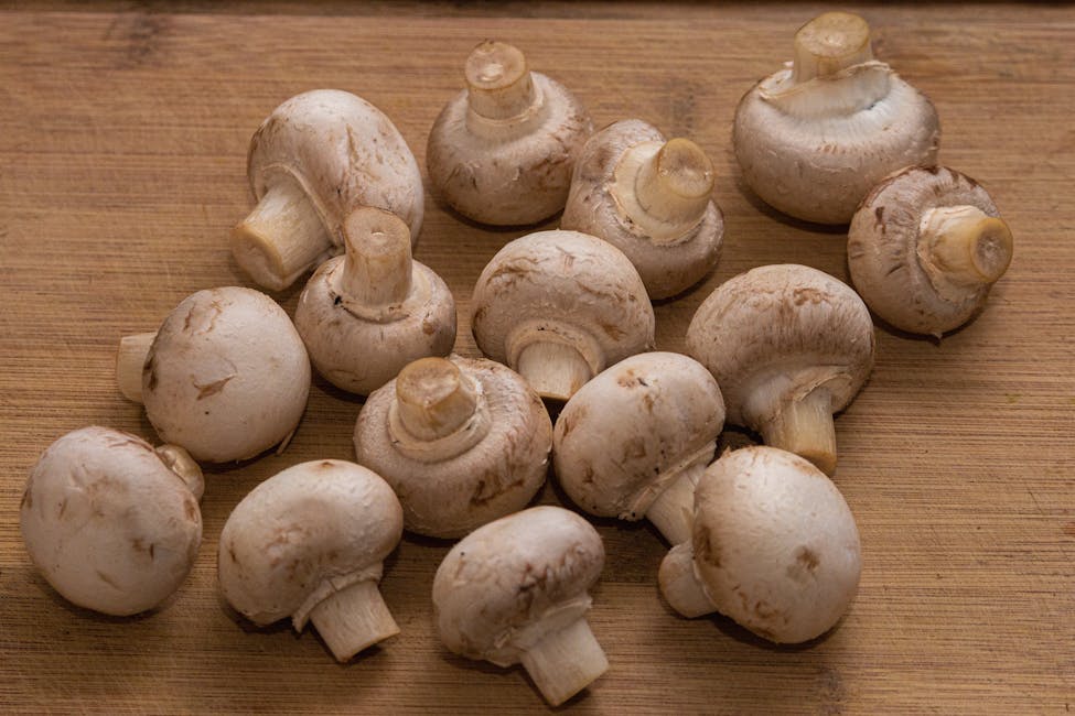How to Grow Button Mushroom: Complete Guide (Easy, Composted manure)
