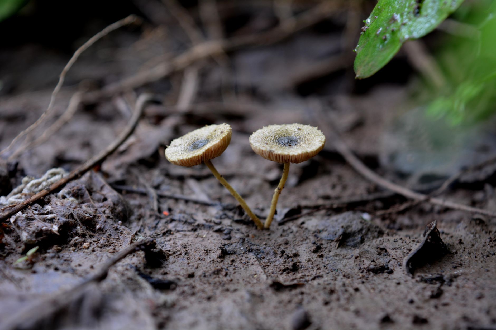 Photo by AMOL NAKVE