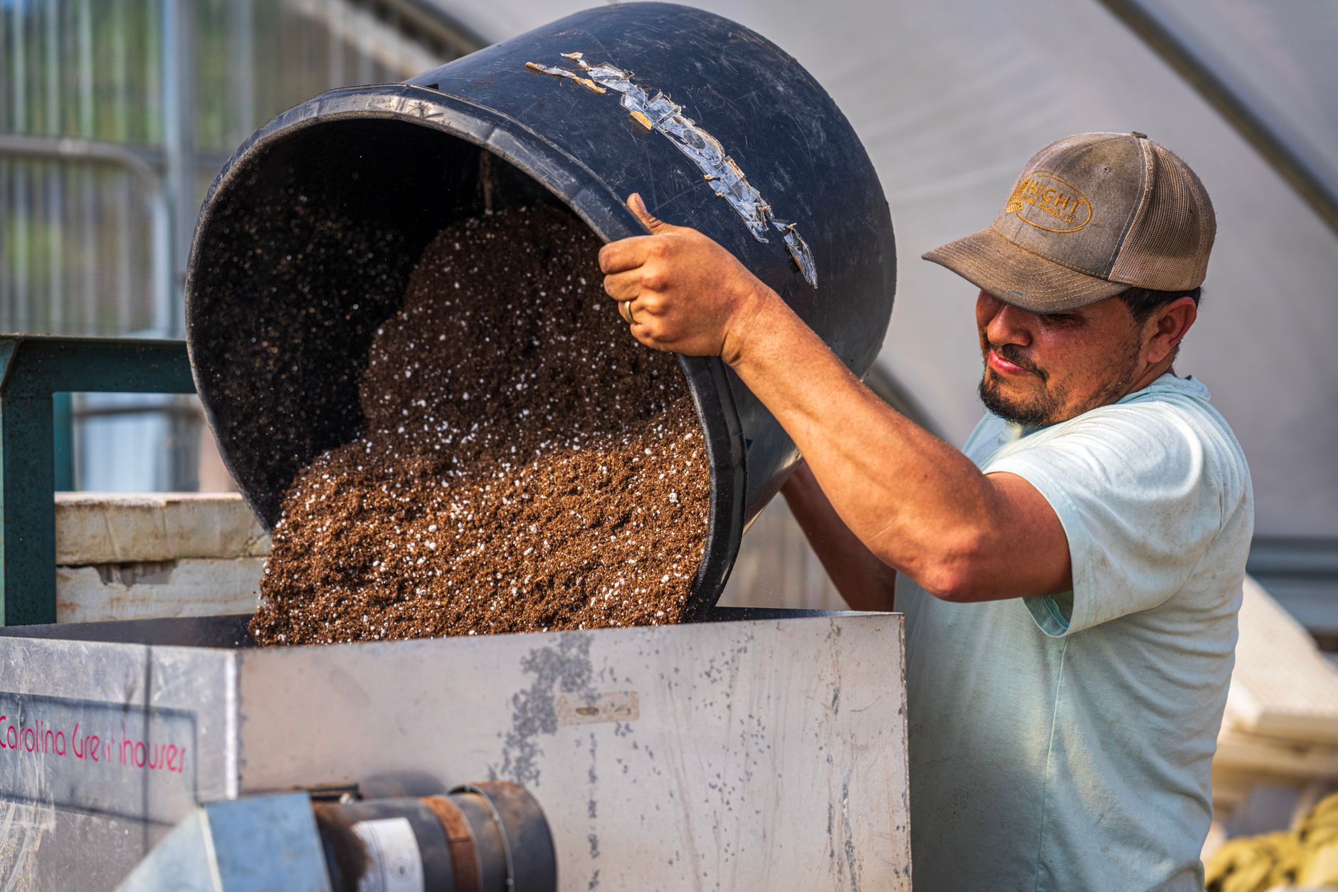 hands mixing sawdust substrate in a plastic tub