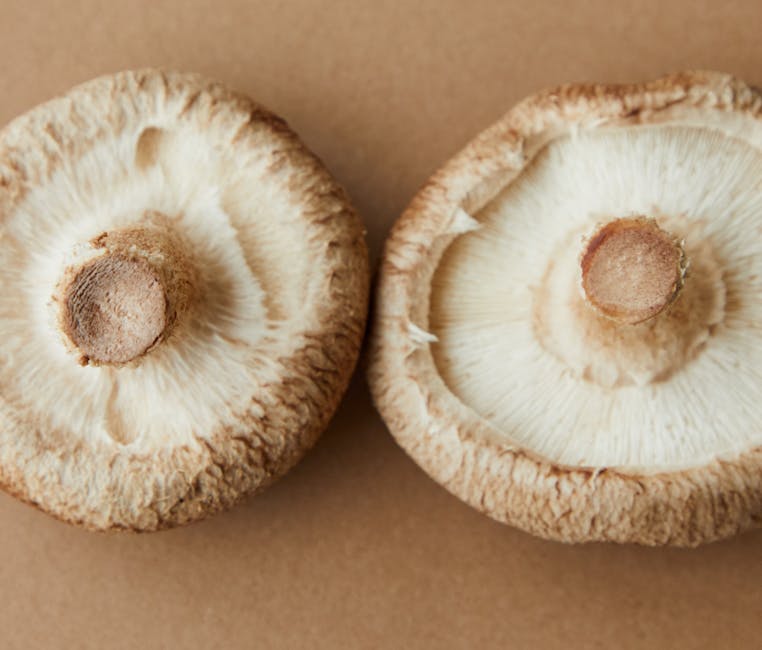 How to Grow Shiitake Mushrooms at Home: The Complete Beginner's Guide