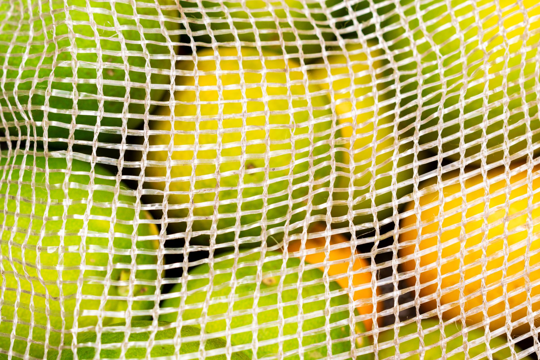 a mesh bag of damp straw hanging to drain over a tub