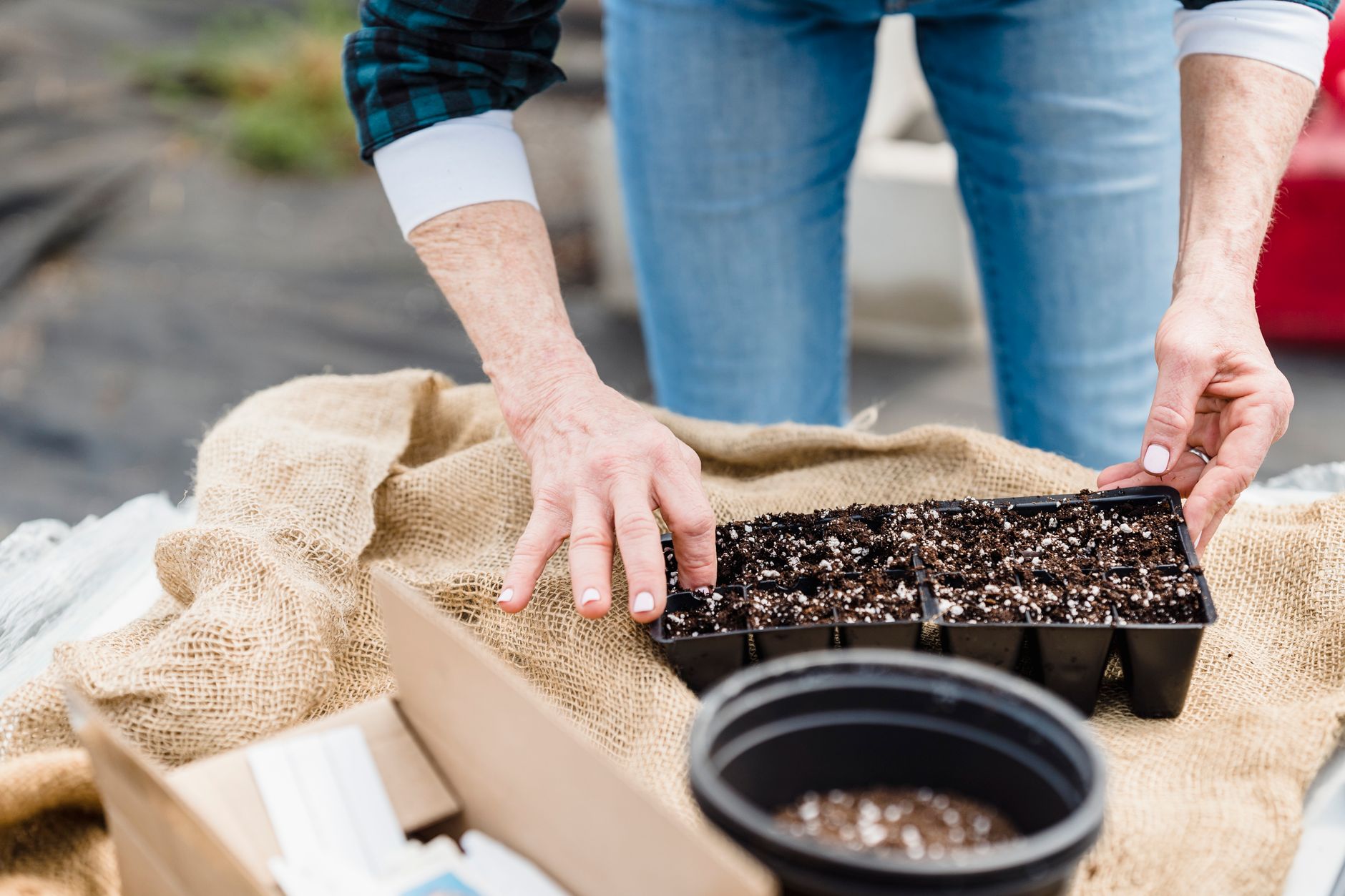 home mushroom growing supplies including a pressure cooker and mushroom grow bags